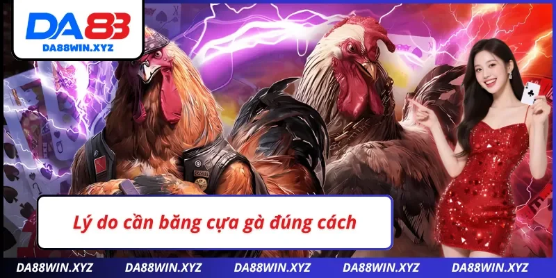 Lý do cần thực hiện cách băng cựa gà đúng cách 